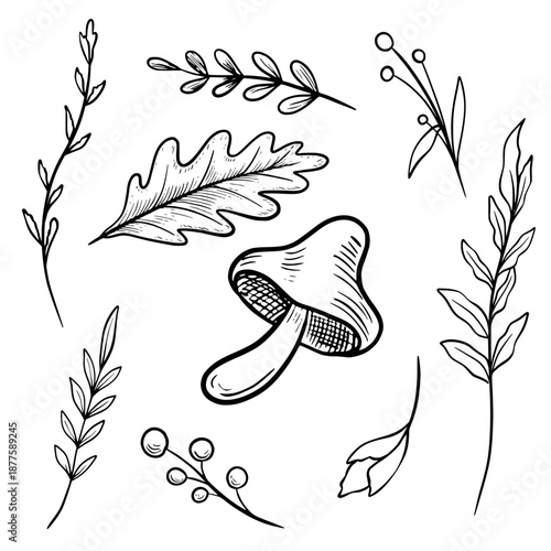 Vector botanical elements and mushroom drawn in graphic line style. Linear illustration of plants for folklore designs, forest themes, tattoos. Etching with berry and leaves painted by black inks.