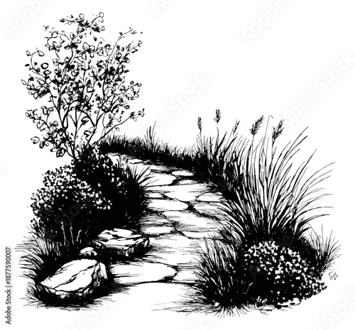 Hand drawn line art illustration of a garden path depicting a winding stone walkway surrounded by lush plants for landscaping design