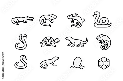 Savanna Reptile Icons. Savanna Reptiles. Line icon set of Savanna Reptiles: crocodile, lizard, gecko, python, cobra, tortoise, monitor lizard, chameleon, snake
