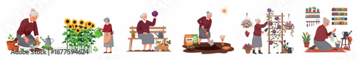 Elderly Woman Gardening Activities Set: Senior enjoying planting flowers, tending vegetables, harvesting crops, and cultivating her home garden hobby.