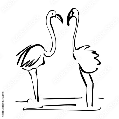 hand drawn vector illustration of a bird. Flamingo.