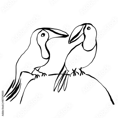 vector illustration of a bird. 