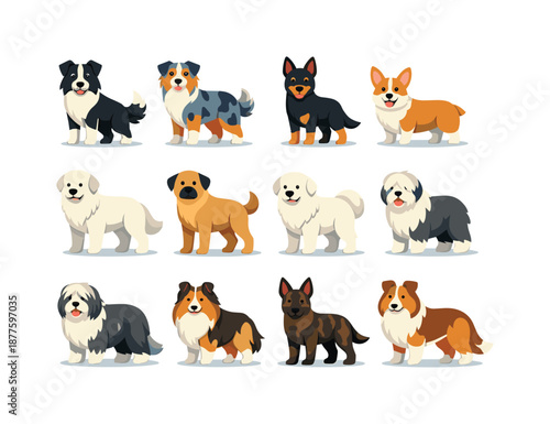 Farm Dog Icons. Farm Dog Breeds. Colorful flat vector icons set of Farm Dog Breeds: border collie, australian shepherd, kelpie, corgi herder, great pyrenees,