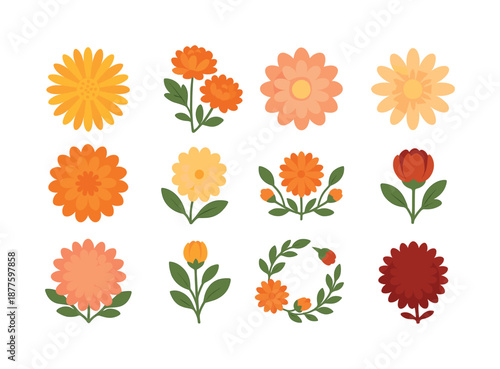 November Chrysanthemum Icons. November birth flowers. Colorful flat vector icons set of November birth flowers: chrysanthemum bloom, autumn mum cluster,