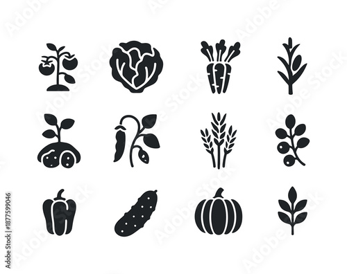 Organic Crop Icons. Organic crops. Solid icon set of organic crops: tomato plant, lettuce head, carrot bunch, corn stalk, potato sprout, bean vine, wheat