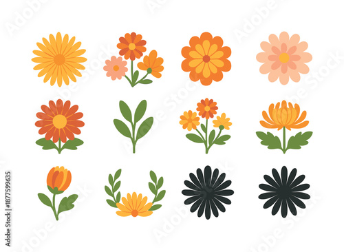 November Chrysanthemum Icons. November birth flowers. Colorful flat vector icons set of November birth flowers: chrysanthemum bloom, autumn mum cluster,
