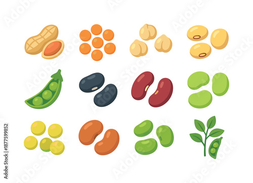 Colorful Legume Icons. Legumes. Colorful flat vector icons set of legumes: peanuts, lentils, chickpeas, soybeans, green peas, black beans, kidney beans, lima