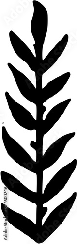 Victorian Decorative Border and Ornamental Frame Elements