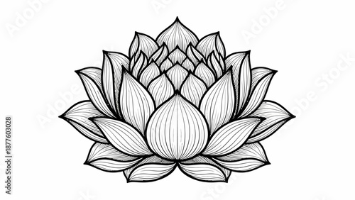 Elegant hand-drawn line art of a beautiful lotus flower, symbolizing purity and spiritual awakening, perfect for serene designs and meditation themes