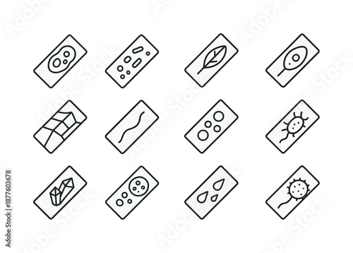 Scientific Slide Icons. Scientific Slide Studies. Line icon set of Scientific Slide Studies: histology sample, microbiology sample, cytology smear, botanical