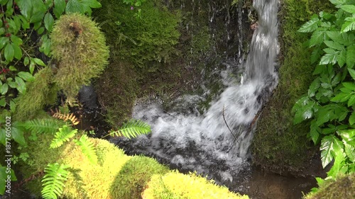 River Water in Mountains, Clear Spring Fresh Waterfall, Transparent Alpine Stream Waves, Crystalline Brook, Crystal Drops