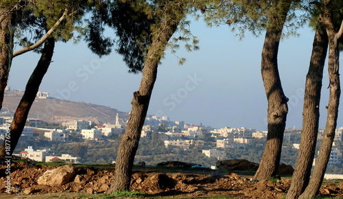 Trees on the side of the main road in a mountainous area of ​​the Jordanian city of Salt