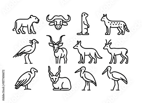 African Wildlife Icons. African Wildlife. Line icon set of African Wildlife: lioness, African buffalo, meerkat, serval, secretary bird, kudu, jackal, impala,