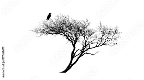 A stark silhouette of a tree with a bird perched atop against a stark white background