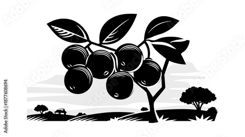 A grayscale illustration of a tree bearing dark fruits, with a landscape background
