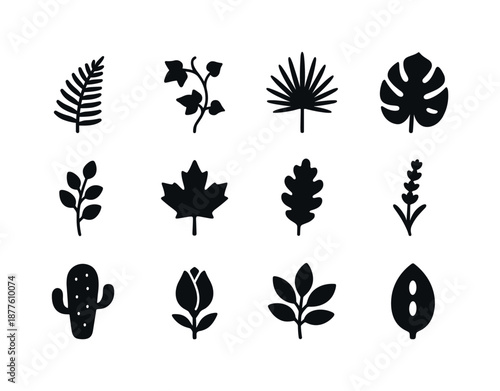 Botanical Icon Set. Botanical plants. Solid icon set of botanical plants: fern leaf, ivy vine, palm frond, monstera leaf, eucalyptus sprig, maple leaf, oak