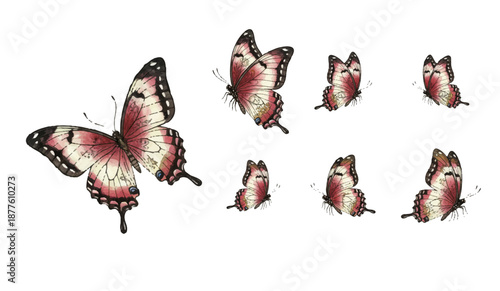 Adobe Illustrator Artwork