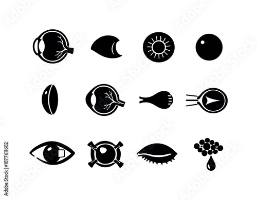 Eye Anatomy Icons. How eyes work. Solid icon set of How eyes work: eyeball cross section, cornea, iris, pupil, lens, retina, optic nerve, light rays entering