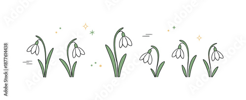 Elegant Snowdrop Vectors. Snowdrop Flower Vectors. Minimal floral composition with single snowdrop blossoms spaced evenly across the scene. Quiet and elegant