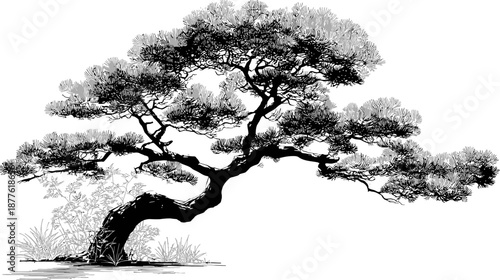 A stylized illustration of a bonsai tree in black and gray, with a curved trunk and leafy branches