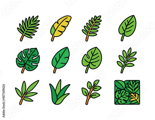 Tropical Foliage Icons. Tropical foliage. Colorful isometric vector icons set of tropical foliage: palm leaf, banana leaf, fern frond, monstera window leaf,
