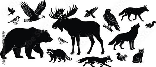 Forest wildlife silhouette collection featuring birds mammals animals isolated black nature vector illustration set for education design decoration branding projects