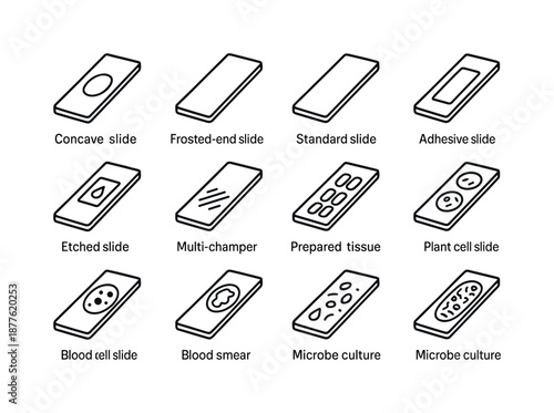 Microscope Slide Icons. Types of Microscope Slides. Line icon set of Types of Microscope Slides: concave slide, frosted-end slide, standard slide, adhesive