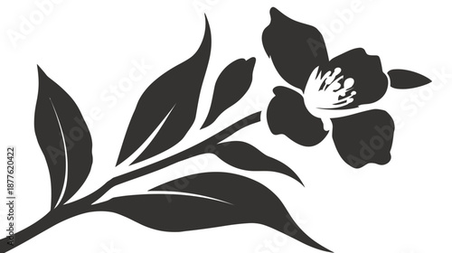 Black and white floral illustration featuring a flower and leaves on a stem against a white background