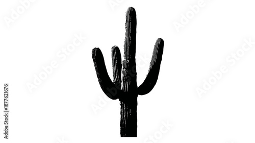 A silhouette of a large, dark saguaro cactus, tall and multi-branched, against white
