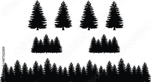 Evergreen pine tree silhouettes collection featuring forest borders and woodland landscapes isolated nature black vector illustration set