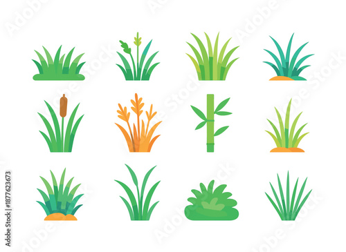 Colorful Grass Icons. Grass types. Colorful flat vector icons set of grass types: lawn grass, wild meadow grass, ornamental tall grass, dune grass, swamp reed,