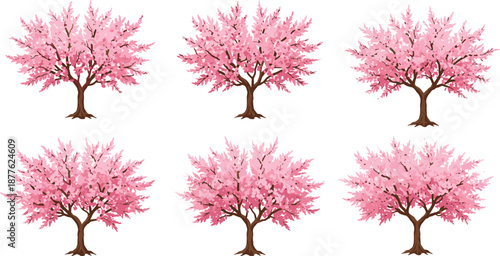 Beautiful cherry blossom tree vector illustration with pink flowers and lush branches, perfect for spring, floral, decorative, botanical, and seasonal designs.