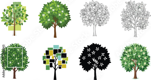 Beautiful citrus tree vector illustration collection with green leaves, white flowers, botanical sketches, flat designs, silhouettes, and decorative garden artwork