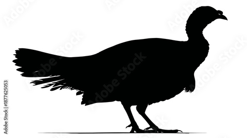 A side-profile silhouette of a large fowl with its feathers and details showing
