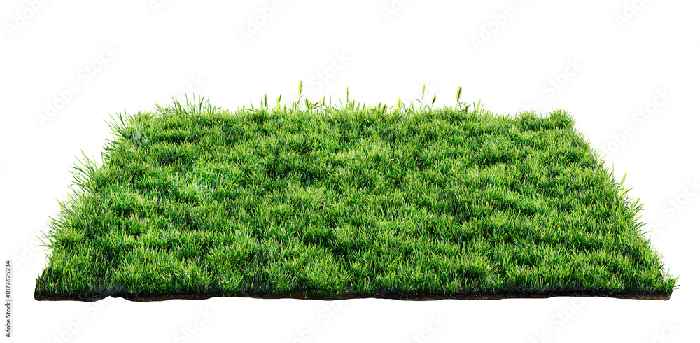 Obraz premium green grass turf isolated on transparent background , 3D illustration