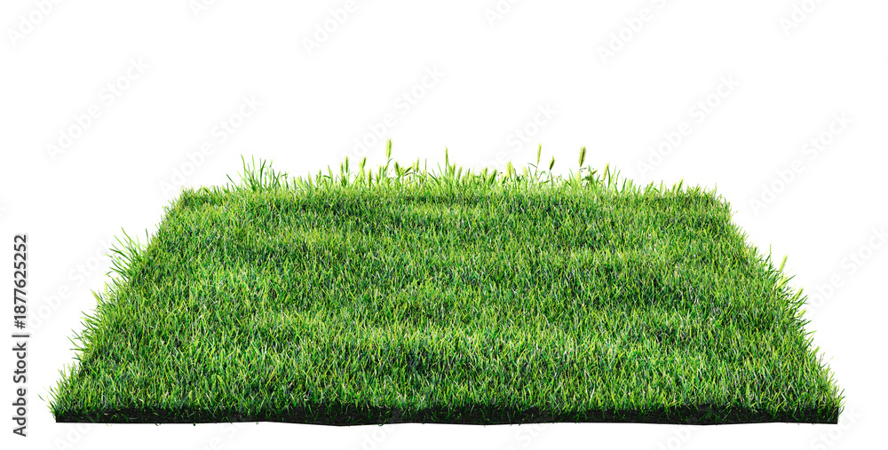 Obraz premium green grass turf isolated on white background , 3D illustration