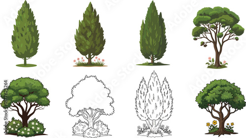 Beautiful evergreen and deciduous tree vector illustration collection with detailed foliage, botanical sketches, landscape design elements, and decorative nature artwork