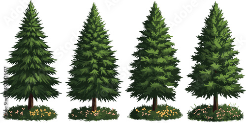Beautiful evergreen pine trees illustration vector set with green forest foliage, grass, wildflowers, and detailed botanical nature landscape design artwork