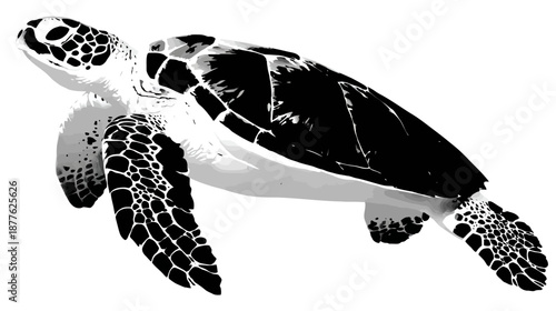 A grayscale depiction of a sea turtle, featuring a stylized and simplified, graphic illustration