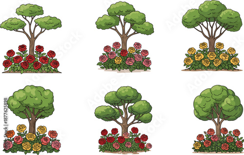 Beautiful garden trees and colorful roses illustration set with various floral arrangements and natural landscaping design for decorative vector artwork