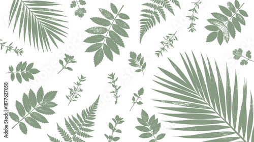 Botanical leaf silhouettes set with palm fern herbs vintage textured nature vector elements isolated on white background design illustration collection