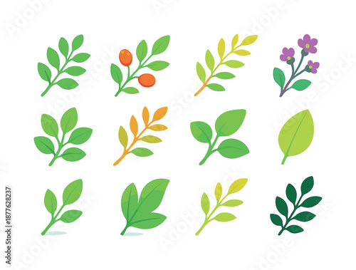 Leafy Icons Collection. Leafy Branches. Colorful flat vector icons set of Leafy Branches: leafy sprig, fruiting branch, curved twig, blossom stem, cluster