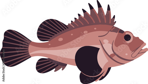 A simplified illustration of a brown and purple fish with prominent fins, detailed scales, and a spiky dorsal fin
