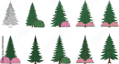 Beautiful pine trees with pink flower bushes vector illustration, natural landscape, green forest plants, decorative garden elements, and outdoor scenery design