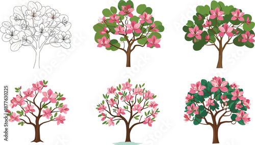 Beautiful pink magnolia blooming trees vector illustration set with floral spring design, decorative botanical artwork, and seasonal garden elements