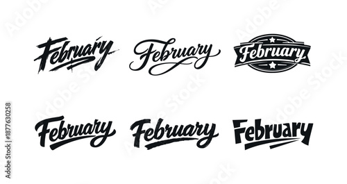 February Lettering Variations. Brush script February banner. Set lettering. harmonious lettering variations of the same emblematic concept, each with different