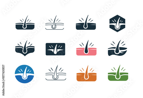 Skin Function Icons. The function of the skin. Icon set. Set Logo of The function of the skin: sensory receptor icon. harmonious logo variations of the same