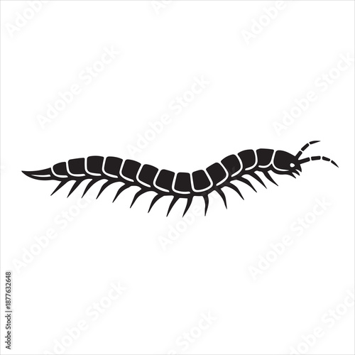 vector illustration of a centipede