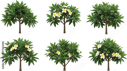 Beautiful tropical plumeria trees illustration with green leaves and white-yellow blossoms, perfect for nature, floral, botanical, and garden vector designs.