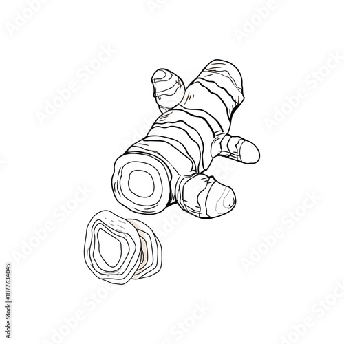 Funny cartoon baby zebra and wild tiger animal vector illustration with striped fur design for safari nature art